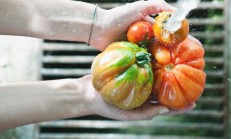Meyve ve Sebzeler Hangi Yöntemle Nasıl Yıkanmalı?